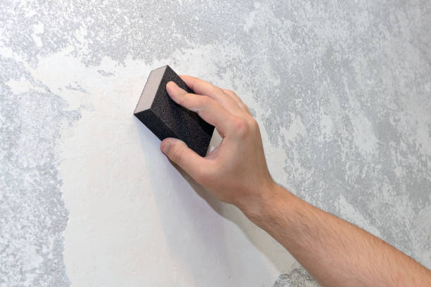 Best Mold Removal for HVAC Installations  in Blennerhassett, WV