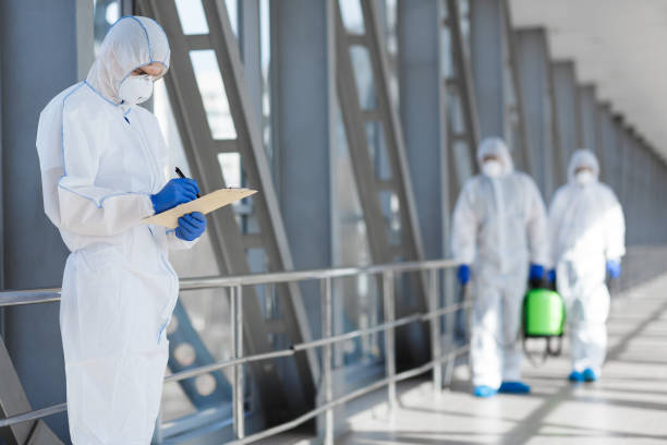 Best Mold Remediation for Vacation Homes  in Blennerhassett, WV