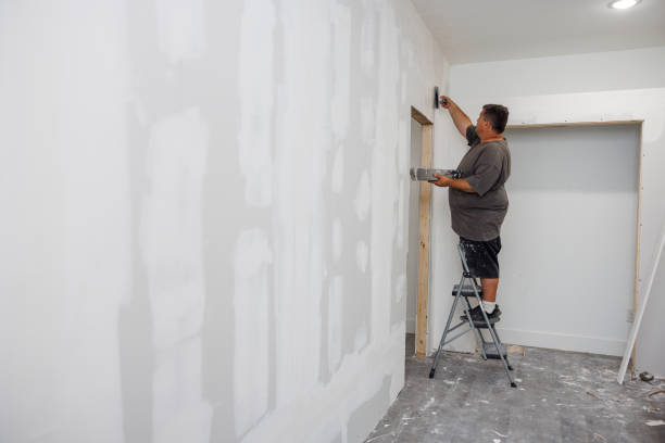 Best Mold Damage Restoration  in Blennerhassett, WV