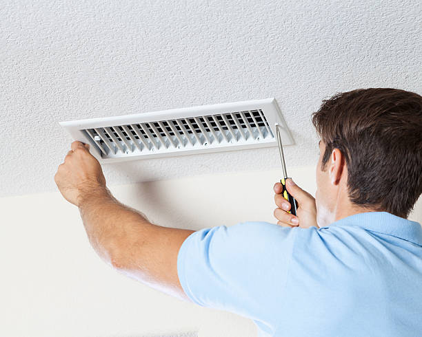 Blennerhassett, WV Mold Removal Company