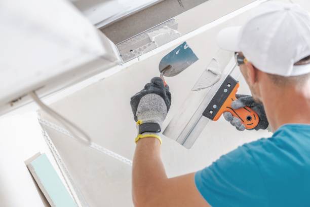 Best Mold Documentation for Insurance Claims  in Blennerhassett, WV